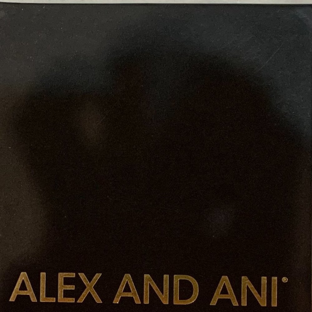 Alex and Ani Designer Charm Bracelets
